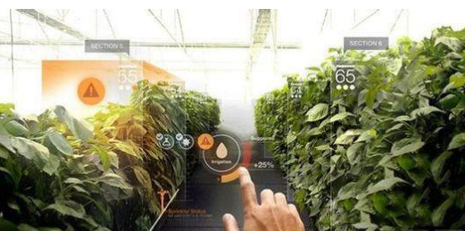 VR還能這么玩！農(nóng)業(yè)+VR,玩轉(zhuǎn)農(nóng)業(yè)新技術(shù)
