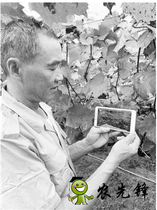 無錫市先行先試加快發展智慧農業，已建設農業物聯網應用點近400個