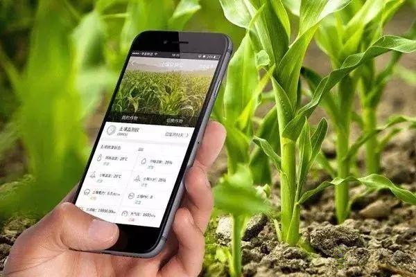 對不起，我跟著華為，辭職種地了！