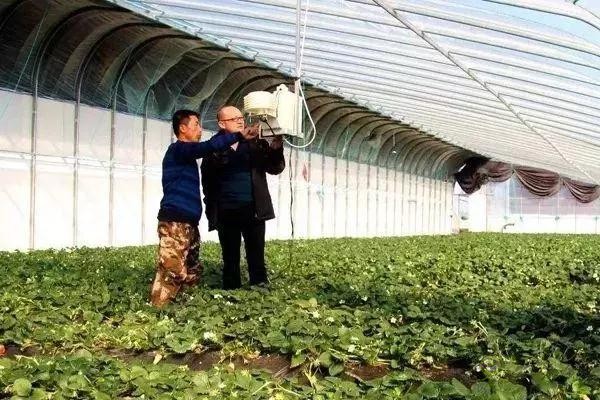 對不起，我跟著華為，辭職種地了！