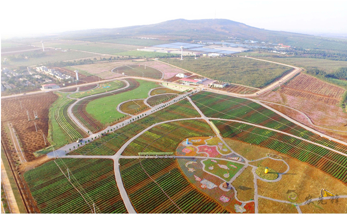 把人工智能應用在農(nóng)業(yè)會碰撞出怎樣的火花