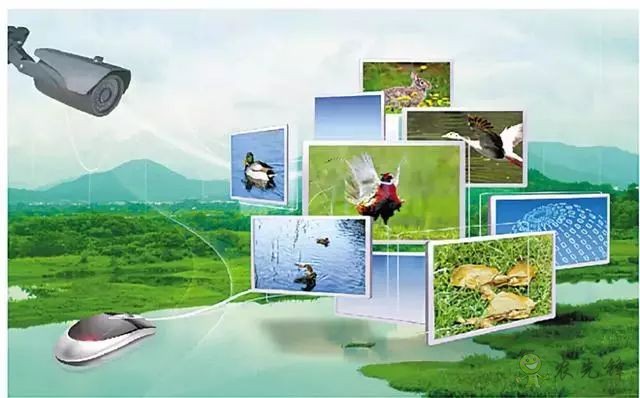 為農業插上翅膀，物聯網引領下一個農業時代！