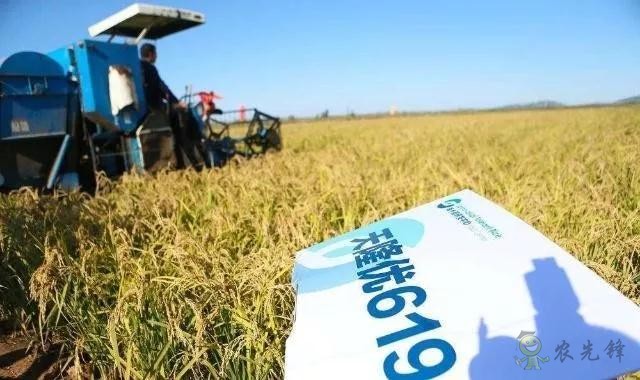 未來農業價值可期!阿里、京東、華為,碧桂園紛紛發力數字農業