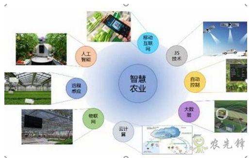 智慧農(nóng)業(yè)開始成為流行趨勢(shì)了嗎
