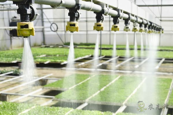 智慧農業的發展，農民能否被淘汰