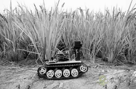 “iDror智能農(nóng)業(yè)物聯(lián)網(wǎng)機器人“幫助農(nóng)民解決實際問題