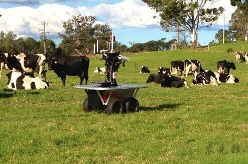 現場機器人，&ldquo;上的了天 下的了地&rdquo;
