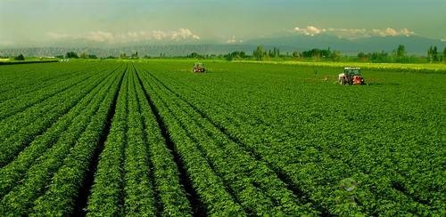 基于物聯(lián)網(wǎng)的土壤監(jiān)測(cè)系統(tǒng)能帶來(lái)什么