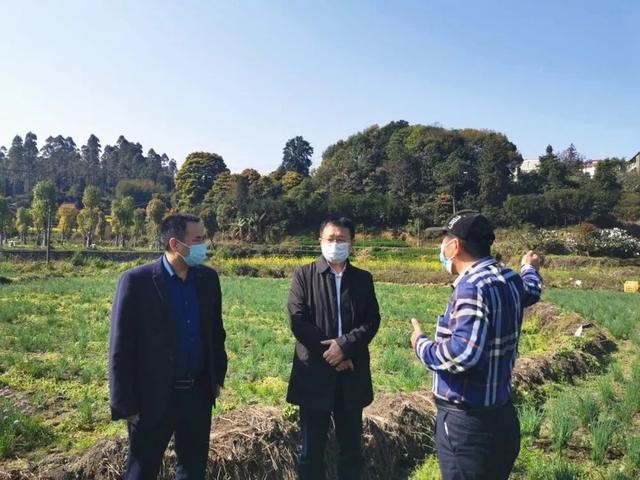 凱里：傳統農業插上現代&ldquo;翅膀&rdquo;