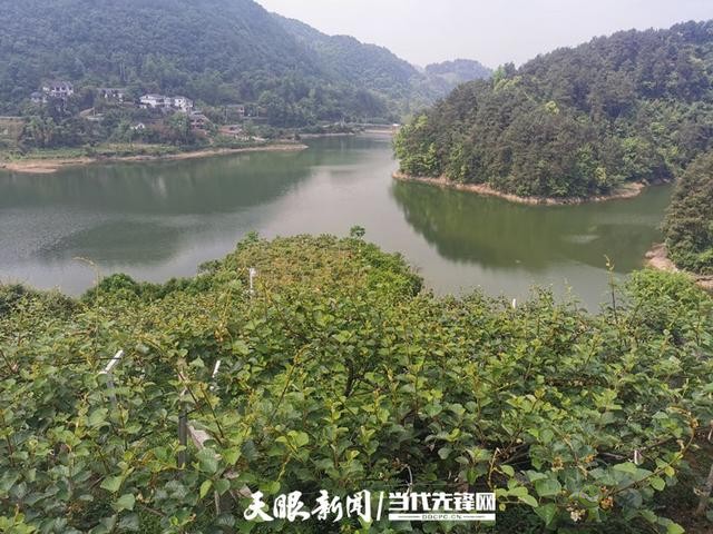 貴陽：大數據讓農戶嘗到了智慧農業的&ldquo;甜頭&rdquo;