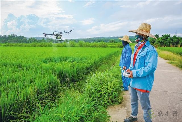 海南農業注入&ldquo;智慧農業&rdquo;