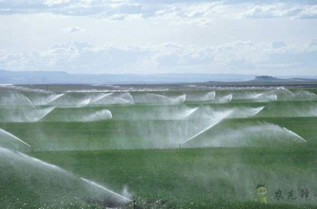 美國(guó)農(nóng)業(yè)