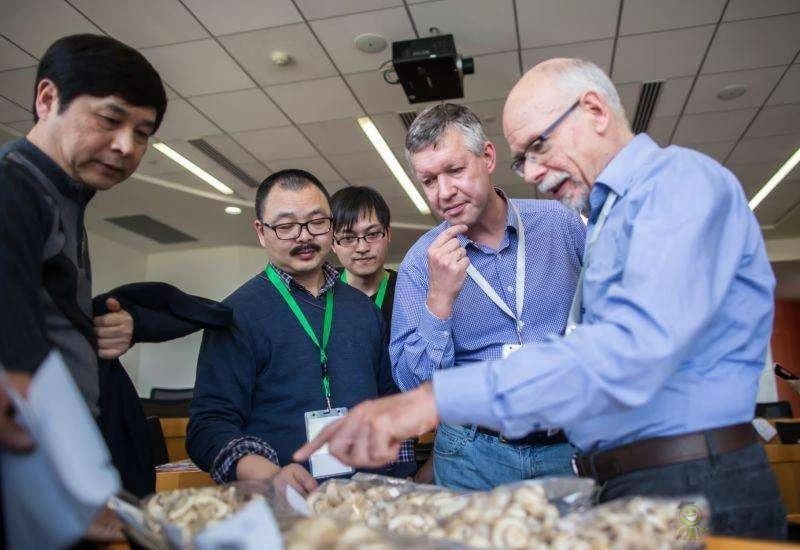 荷蘭農(nóng)業(yè)