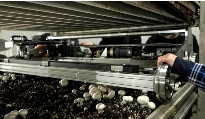 農(nóng)業(yè)機器人