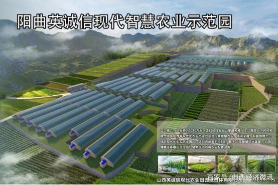 陽曲縣精品農業是如何打造的?