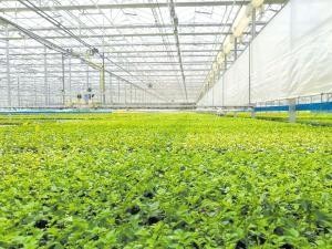 &ldquo;智慧農業&rdquo;開啟昆明農業發展新時代