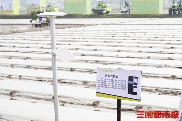 西洞庭將建萬畝智慧農(nóng)業(yè)園