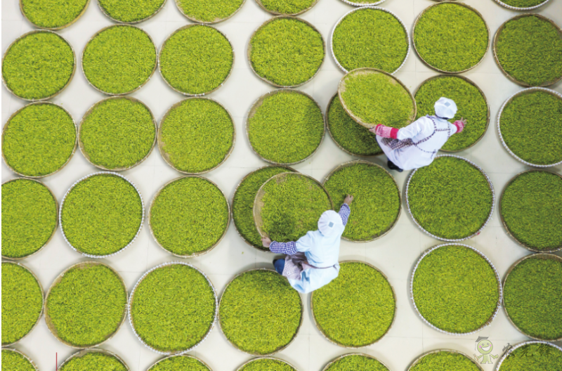 《鄉(xiāng)村振興戰(zhàn)略規(guī)劃實(shí)施報告(2020年)》出版發(fā)布