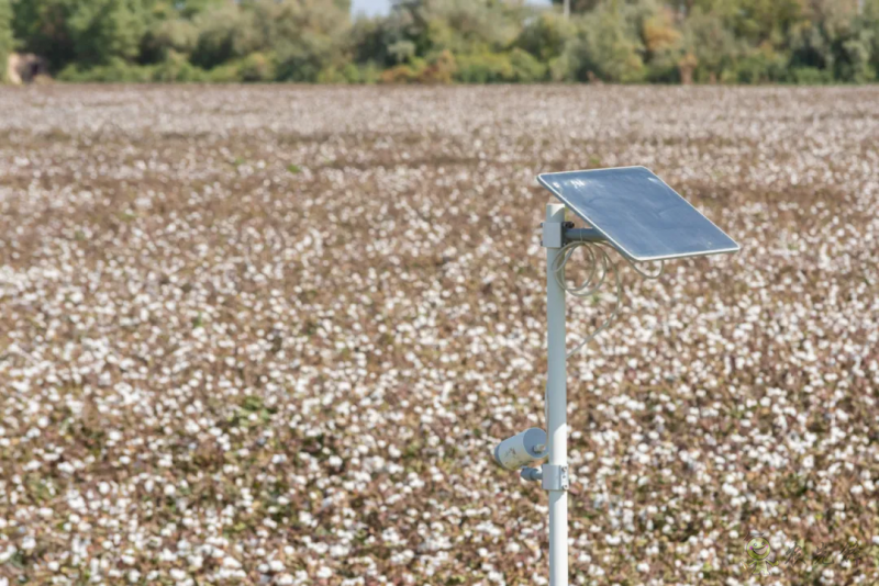 亮相新疆農機展,極飛展示棉花智能化生產硬核實力