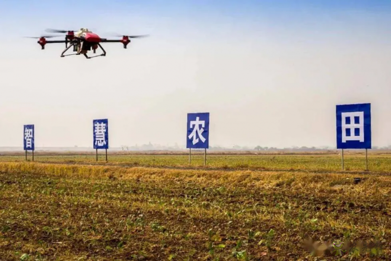 農(nóng)業(yè)農(nóng)村部:全力推進高標(biāo)準(zhǔn)農(nóng)田建設(shè),實施智慧農(nóng)業(yè)