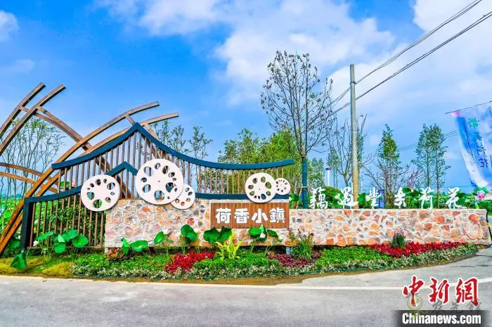 肥西：以&ldquo;荷&rdquo;為媒 打造鄉村生態旅游產業