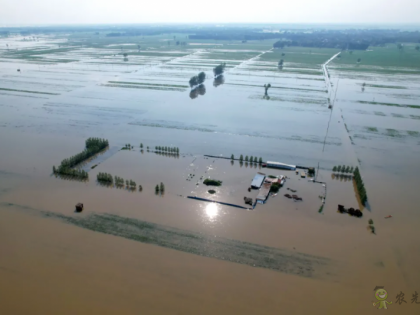 1450萬畝農作物受災!550萬畝絕收!對我國糧食市場影響有多大?