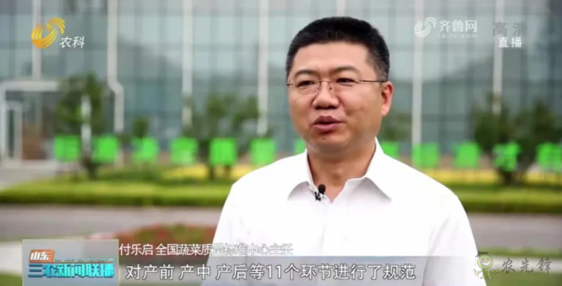 &ldquo;壽光標準&rdquo;向全國輸出 推動蔬菜產業提檔升級