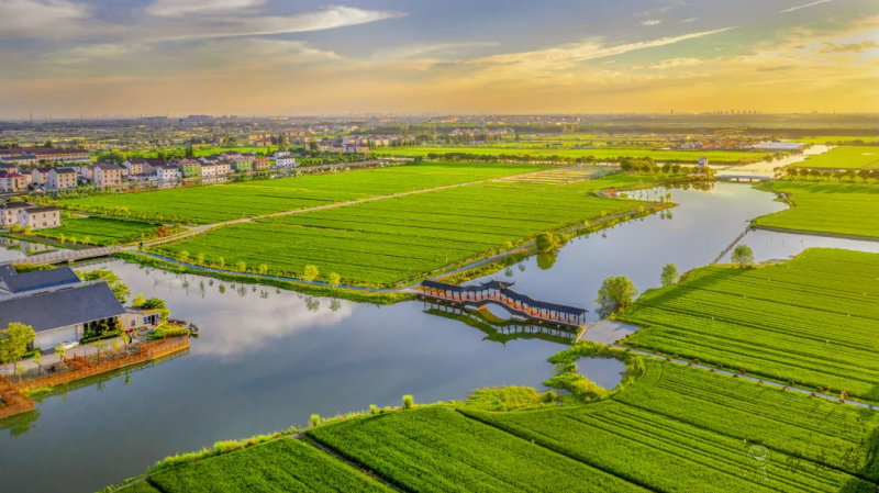 蘇州市:探索實踐農業農村現代化蘇州路徑