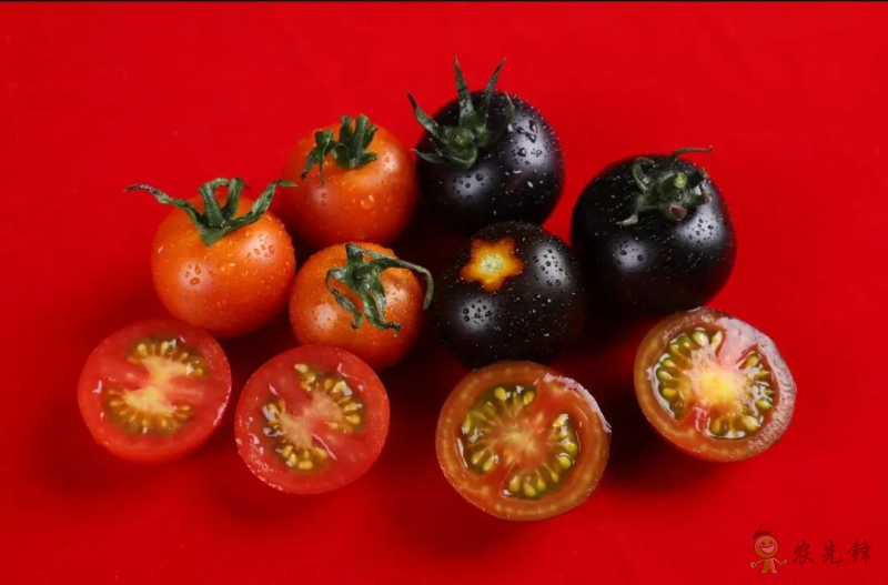 先正達(dá)集團(tuán)中國總裁覃衡德:數(shù)字化為現(xiàn)代農(nóng)業(yè)提供了無限可能