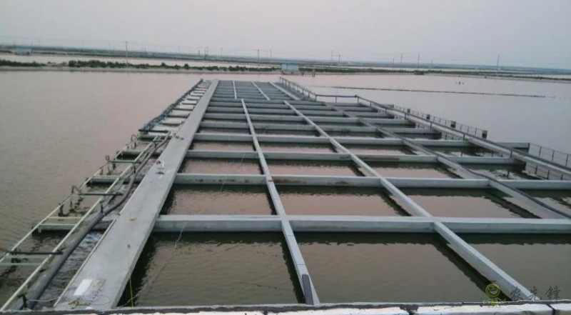 2021年農業農村部重大引領性技術發布！