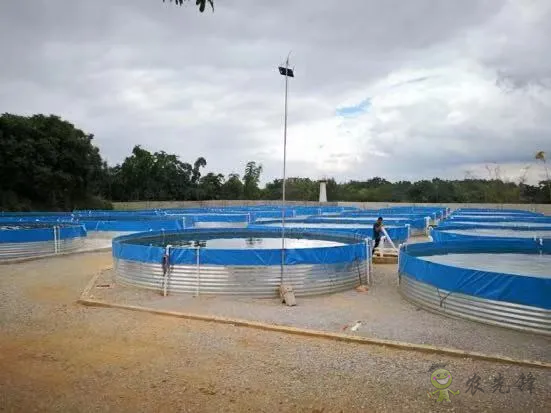 2021年農業農村部重大引領性技術發布！