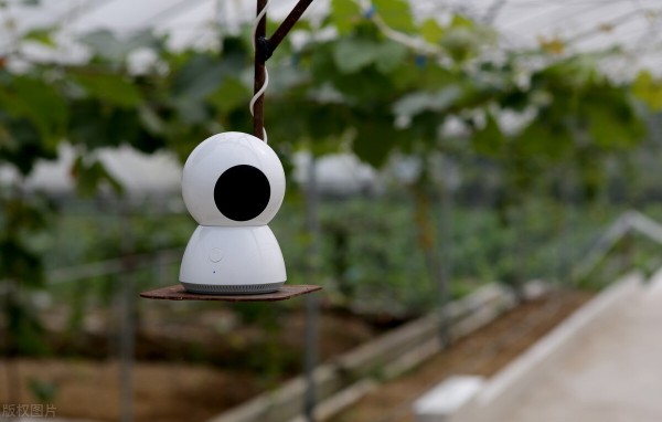 8大農(nóng)業(yè)產(chǎn)業(yè)崛起,未來或?qū)⒊蔀橥顿Y重點