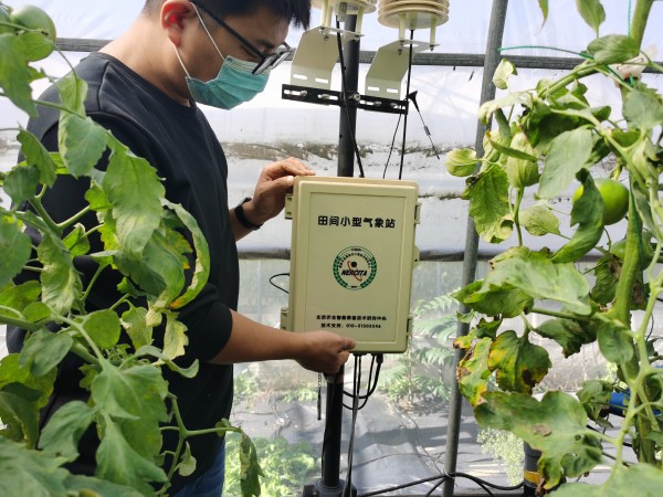 塑料大棚“智能化”,北京開展高效設(shè)施農(nóng)業(yè)用地試點(diǎn)