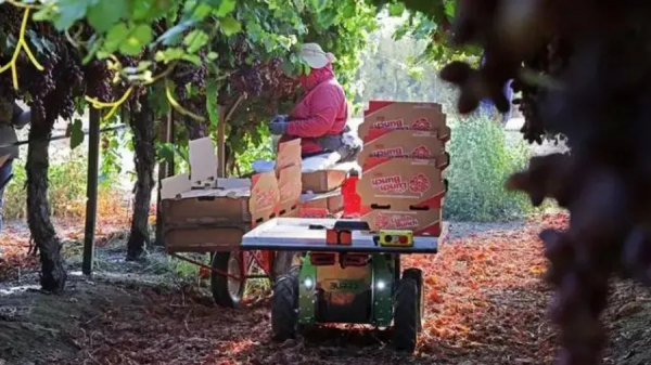 明星農(nóng)業(yè)機(jī)器人公司Burro完成1090萬美元融資,拆包即可安裝使用