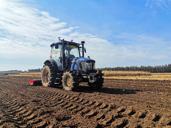 濰柴雷沃智慧農場里的&ldquo;三秋&rdquo;