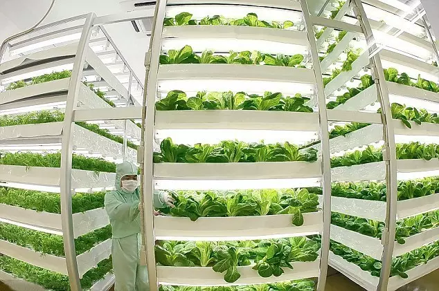 做農業，這幾種高效生態農業模式你必須知道