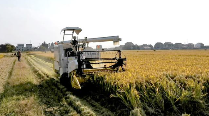 豐疆智能：加速落地&ldquo;無人農場&rdquo;，賦能鄉村振興！