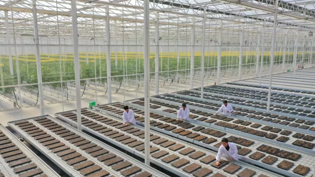 &ldquo;未來農場&rdquo;的德清實踐