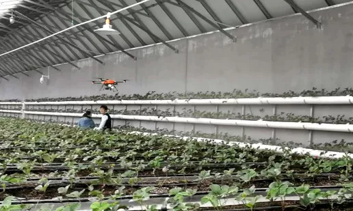 海淀延慶攜手,打造農(nóng)業(yè)跨區(qū)域結(jié)對協(xié)作示范標(biāo)桿