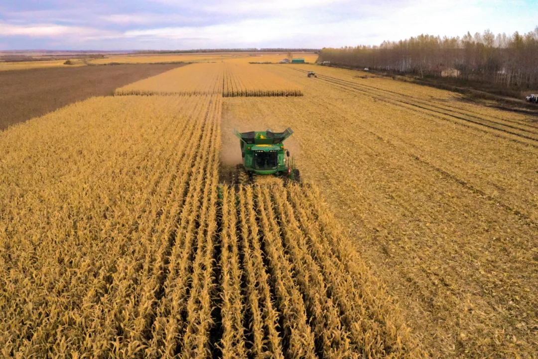 張合成:建立農業科技優先發展的政策體系