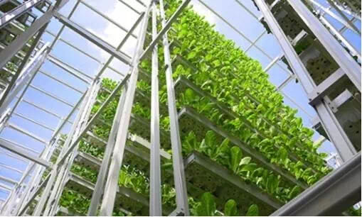 什么是垂直農場?垂直農場的盈利前景與經典案例