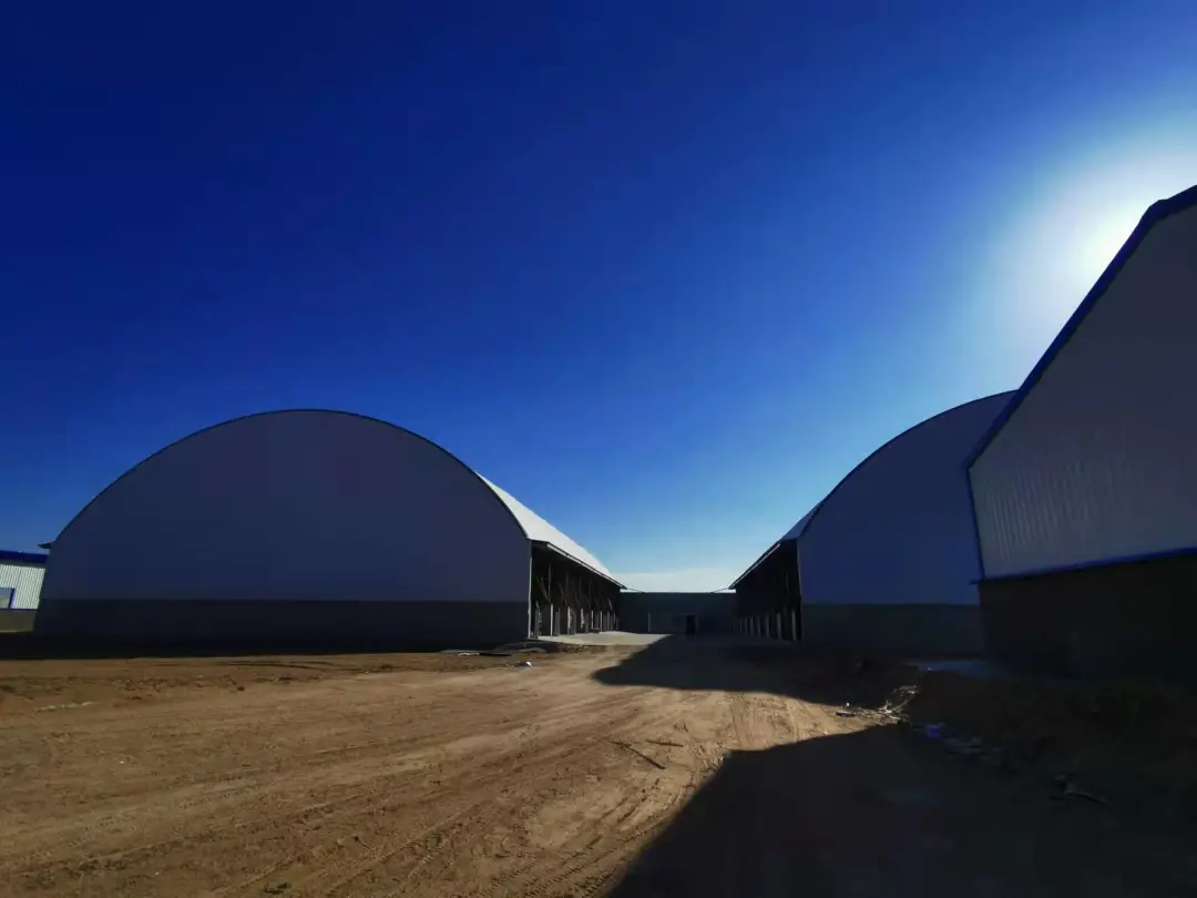 國內首座膜結構肉牛場落戶陜西-神木澳牛牧業萬頭肉牛場項目