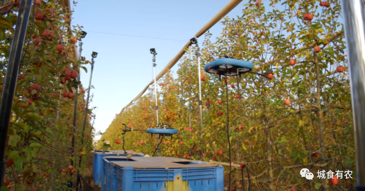 會摘蘋果的飛行機器人，從概念圖到商業化Tevel只用了4年