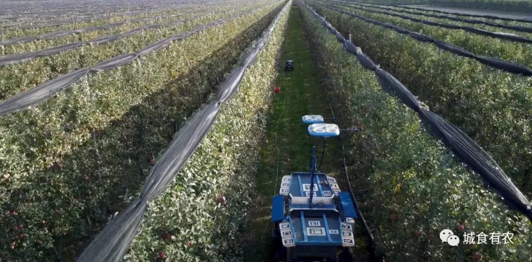 會摘蘋果的飛行機器人，從概念圖到商業化Tevel只用了4年