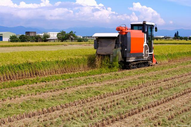 溫鐵軍:中國農業4.0時代,家庭農場、小農戶仍然是發展的趨勢