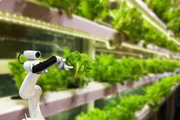 新加坡農業：5大創新玩法，中國農業值得借鑒