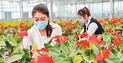 農業農村現代化按下&ldquo;快進鍵&rdquo;