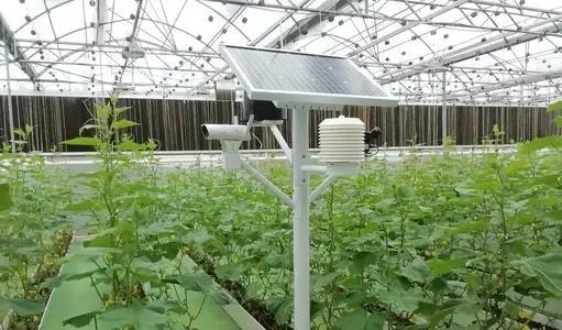 數(shù)字中國(guó)下一站：數(shù)字鄉(xiāng)村 ！