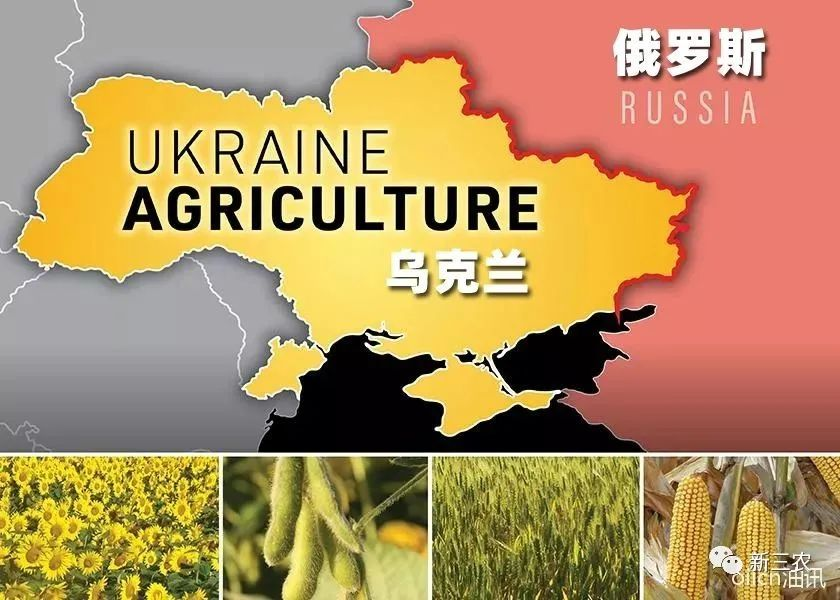 俄烏沖突啟示：誰控制小麥，誰就控制了世界