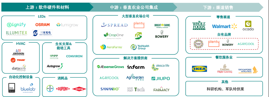 垂直農業,一個可持續的未來?